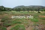 GL 0198 - Coastal Land - Dardiza - Ermioni